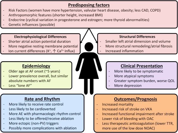 Anne Kroman (@docannesquared) on Twitter photo September is AF awareness month!!
Women can present with atypical symptoms, have ⬆️ risk of stroke, and can have ⬇️ referral for ablation. Let's move the needle for better AF care for our women patients!
<a href="/ACCinTouch/">American College of Cardiology</a> <a href="/PamelaMasonEP/">Pamela Mason</a> <a href="/KTamirisaMD/">Kamala Tamirisa MD</a> <a href="/NazemAkoum/">Nazem Akoum</a> <a href="/DrJCheungEP/">Jim Cheung</a> September is AF awareness month!!
Women can present with atypical symptoms, have ⬆️ risk of stroke, and can have ⬇️ referral for ablation. Let's move the needle for better AF care for our women patients!
<a href="/ACCinTouch/">American College of Cardiology</a> <a href="/PamelaMasonEP/">Pamela Mason</a> <a href="/KTamirisaMD/">Kamala Tamirisa MD</a> <a href="/NazemAkoum/">Nazem Akoum</a> <a href="/DrJCheungEP/">Jim Cheung</a>