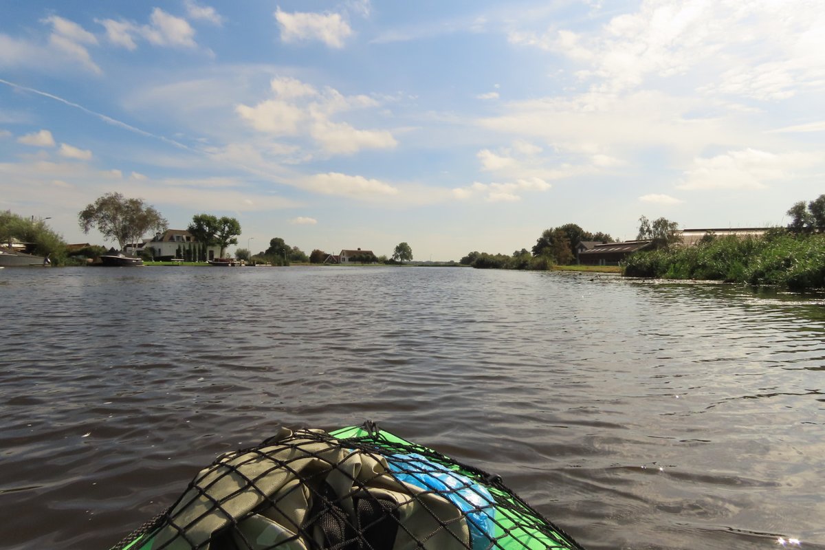 Elsbeth Kwant tweet media