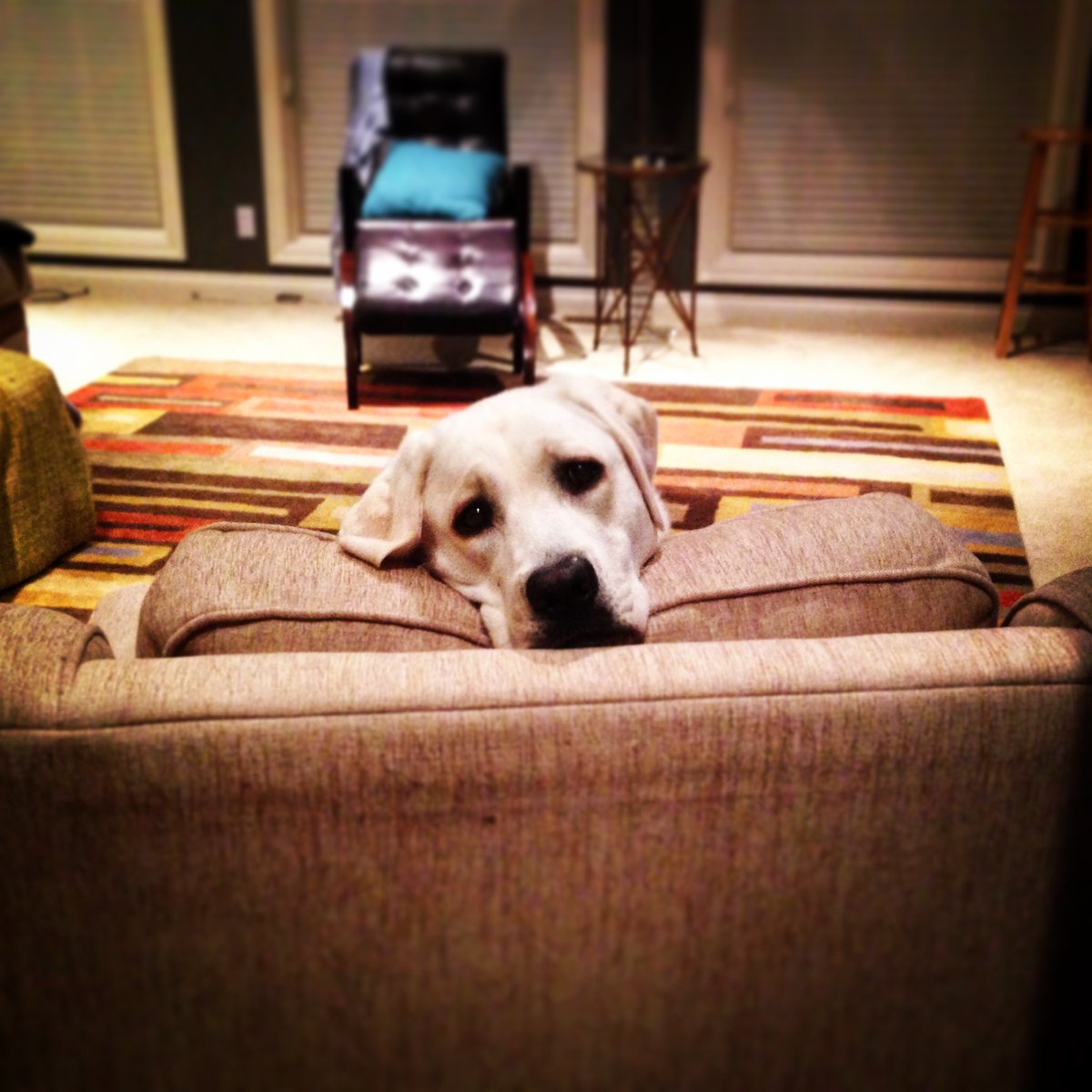 Tim Miles tweet media