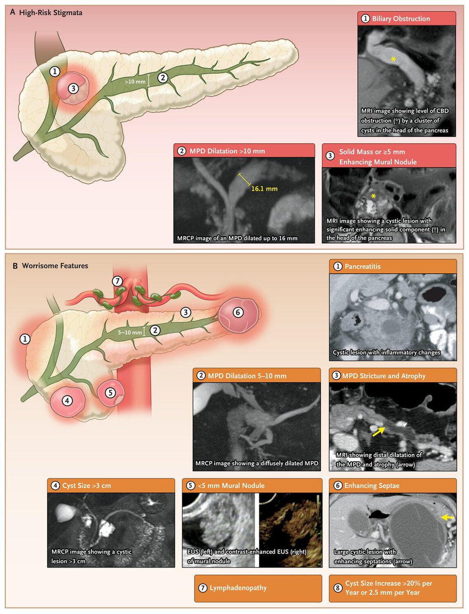 John Damianos, M.D. tweet media