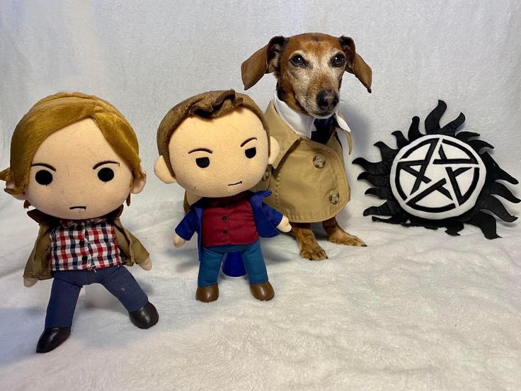 no thoughts, just wiener dog castiel