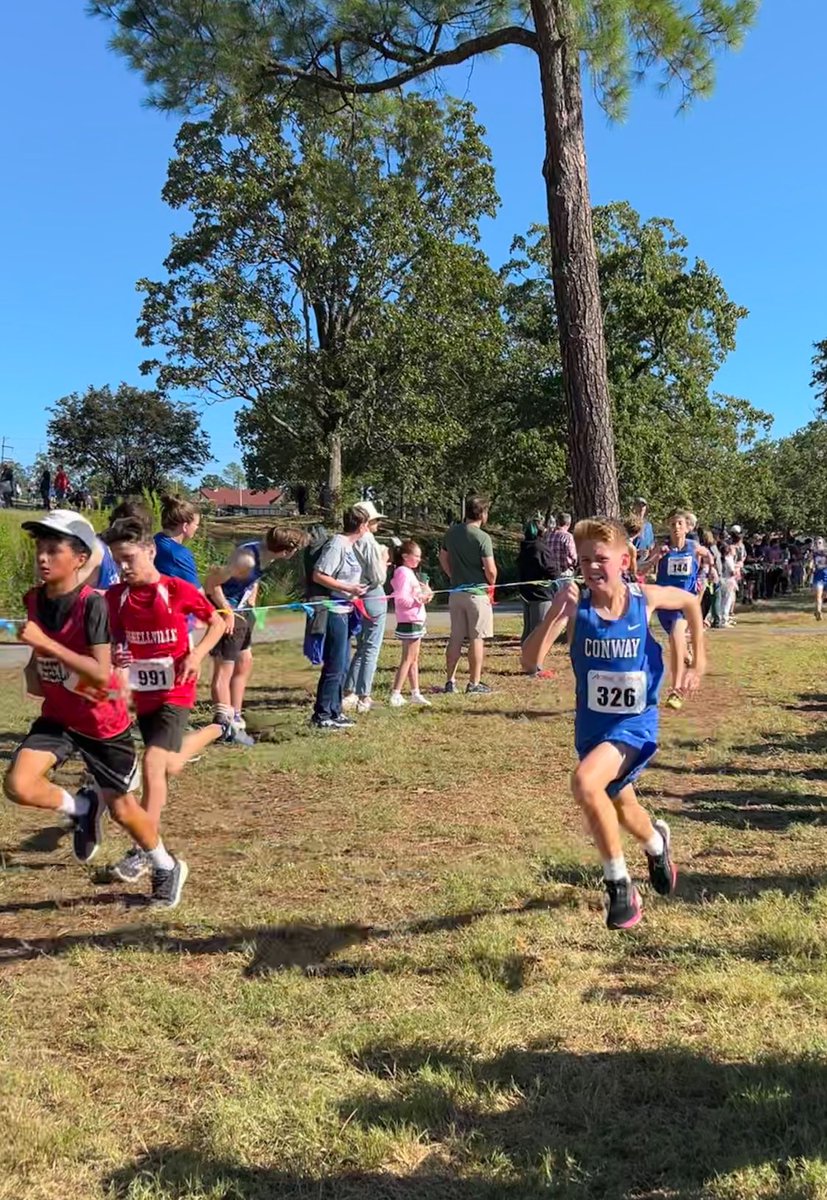 Chris Camfield tweet media