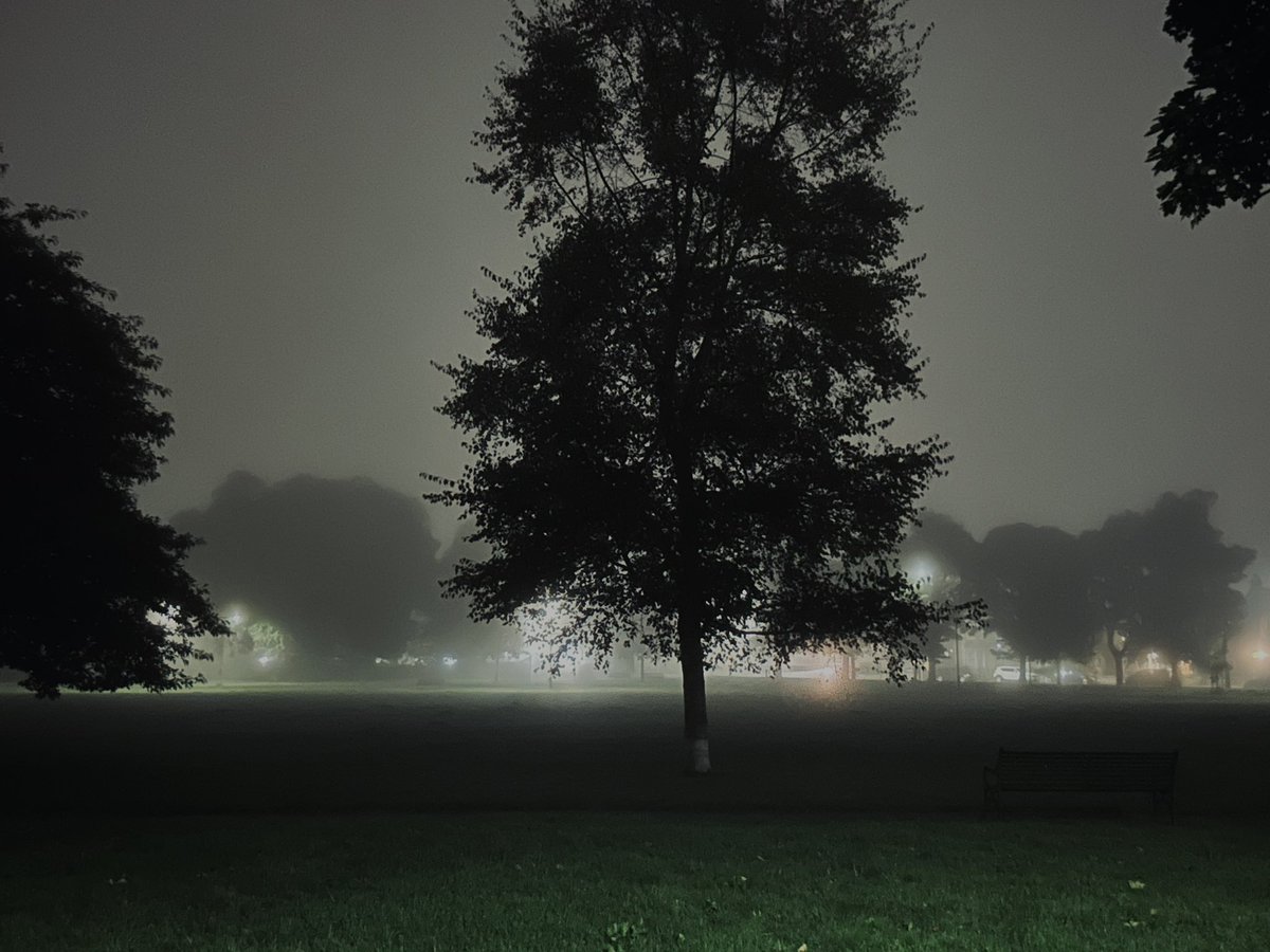 DavidRobb22's tweet image. September Haar in Auld Reekie #HaikuSaturday 

Mist-muffled dog walk
warm frost shrouding bright beacons
damp summer clings on