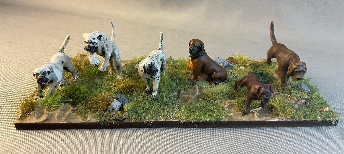 Oldwargamer's tweet photo. One of the things I really like about D3H2 (#DBAFantasy) is that it allows me to take an historical army and fantasise it. I did this with a French #HYW army which allowed me to use my #Bretonnian looking #GamezoneMiniatures #Knights, Joan of Arc = Paladin &amp; #Dogs = #Beasts. https://t.co/LqEpUG1u9J