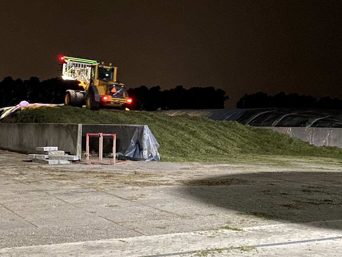 Sander vijverberg tweet media