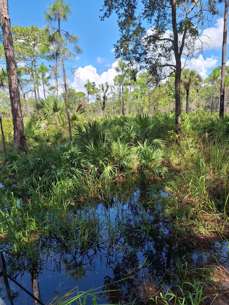 Setharan's tweet image. Helpin pops relocate some tree stands Hunting season staring soon hopefully I can get more free time