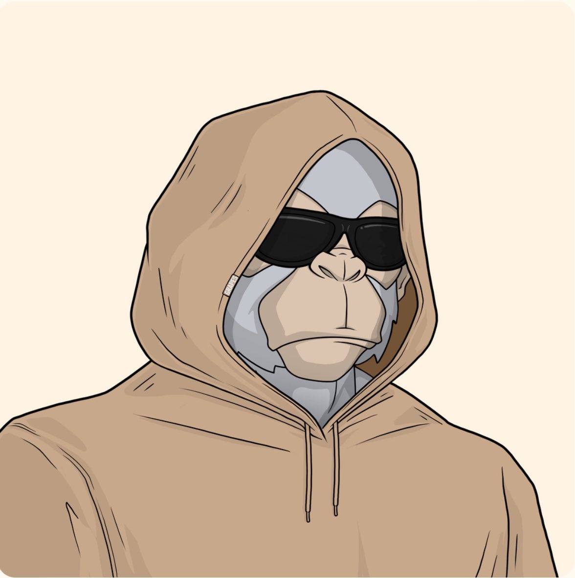 Robert Hatt ❌ 🧬 KobraBoy.eth tweet media