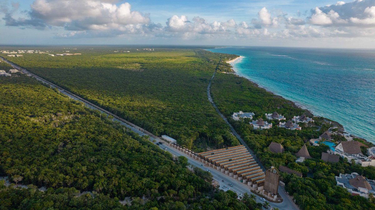 SEDATU_mx's tweet photo. #Boletín
Concluye Sedatu #ParqueDelJaguar en Tulum #QuintanaRoo; garantiza la preservación ambiental y cultural de la región.
Se invirtieron más de 2 mil 700 mdp en el proyecto de más de mil hectáreas.
👉https://t.co/Ud7xJ8csAw
#TulumLate❤️
#LosCimientosDeLaTransformación👷♀️👷♂️ https://t.co/QFBXjv41pU