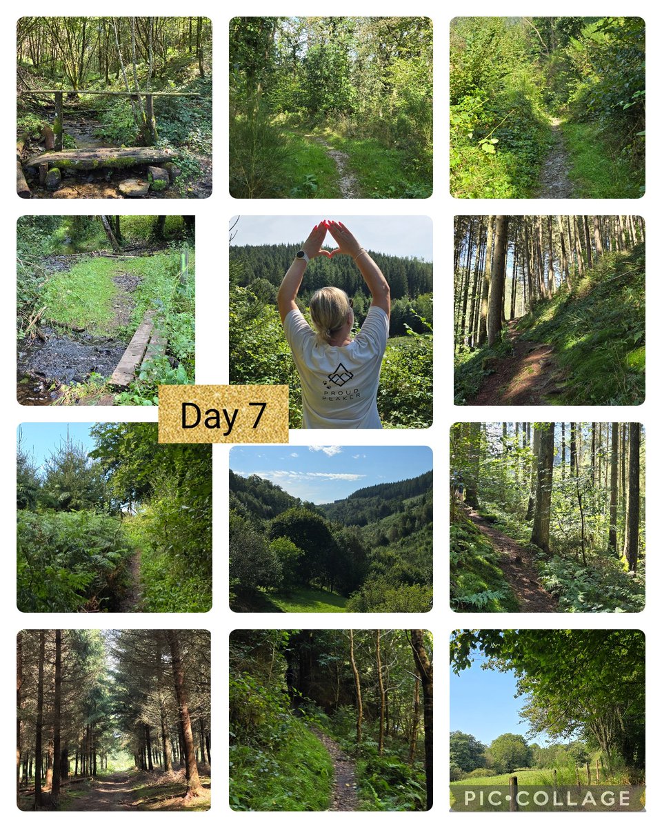 BrigitteCuyvers's tweet photo. Day 7 of the #MunroStepChallenge. Walked 12km. Not flat.π₯΅ Very beautifulπ₯°. #belgianpeakersunited #runpeakerrun #peakersinlovewithParis #roatrippeakers #mypeakchallenge https://t.co/5fxY5Iz2oU