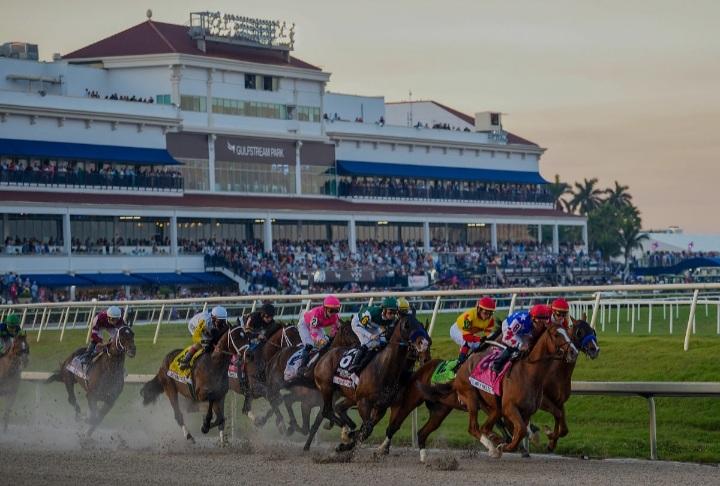 lotohipico's tweet photo. #Saturday #September07
#GULFSTREAMPARK.
@DerbyNoqueador
+58 4248131900.
UNDECIMA 🏇 5-8/6 pareja. https://t.co/mEaNrc5ELx
