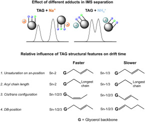 (Talanta) Separation of triacylglycerol (TAG) isomers by cyclic ion mobility mass spectrometry dlvr.it/TCyQjx (RSS) #Talanta #MassSpecRSS