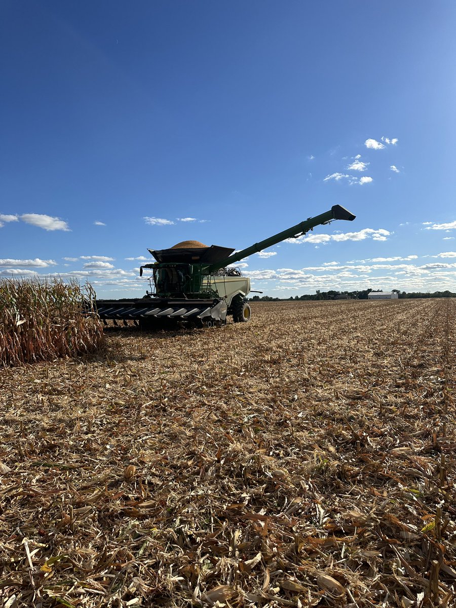 Day 4 of harvest already! Things rolling smooth! 🌽🌽🌽 #harvest24