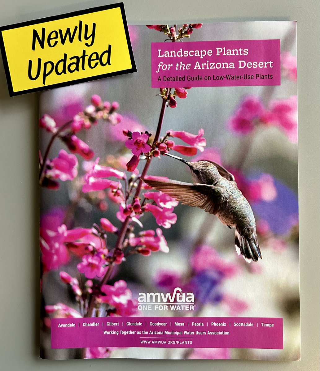 Fall=pumpkin spice, Halloween, cooler temps and planting season! Discover why fall is ideal for planting in our Sept. Sustainability Savings Tip. Plus, garden tips, sowing wildflowers and how to get our updated Landscape Plants for the Arizona Desert book! my.mesaaz.gov/4e0VzP6