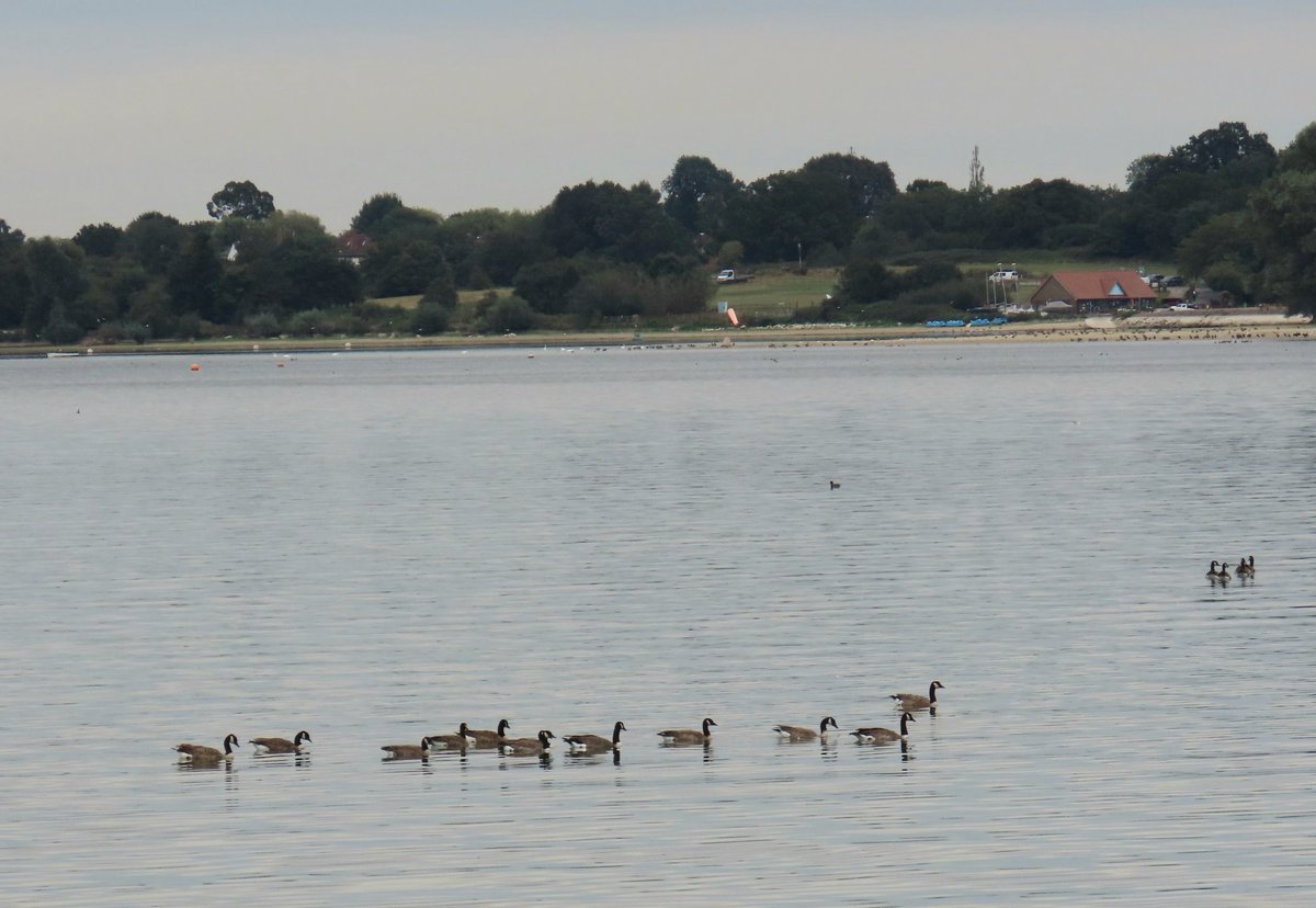 Daryl Rhymes tweet media