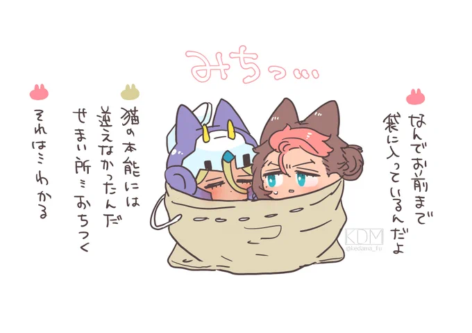 その後🐱🐱 