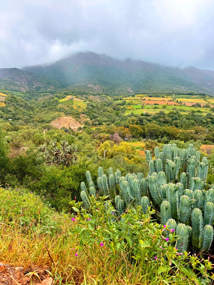 axelico170's tweet photo. Qué belleza estos paisajes 😍🍃 nada como un Sábado en la naturaleza ✨

Ig:axelico170 https://t.co/MO4JZLgUD4