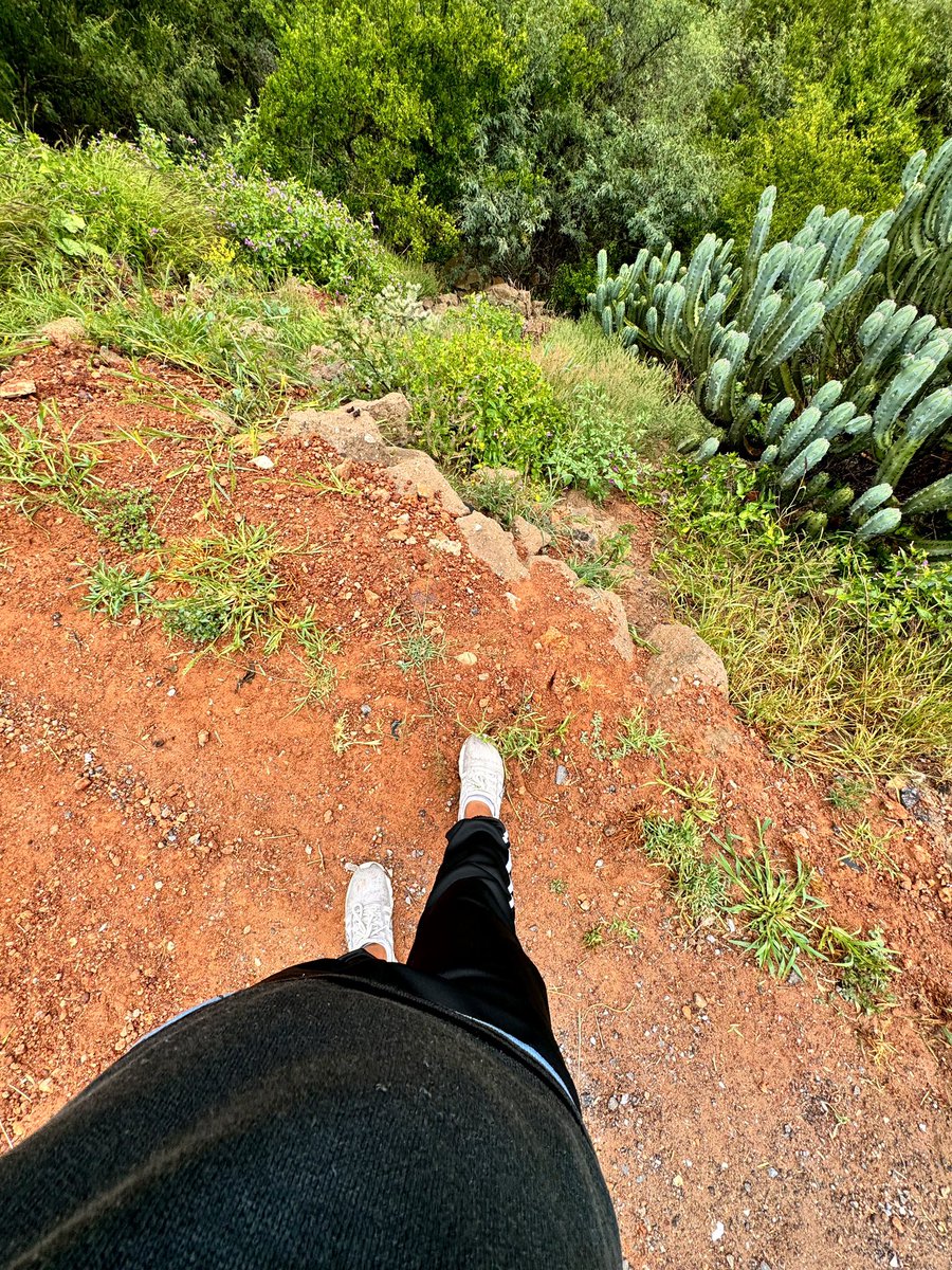 axelico170's tweet photo. Qué belleza estos paisajes 😍🍃 nada como un Sábado en la naturaleza ✨

Ig:axelico170 https://t.co/MO4JZLgUD4