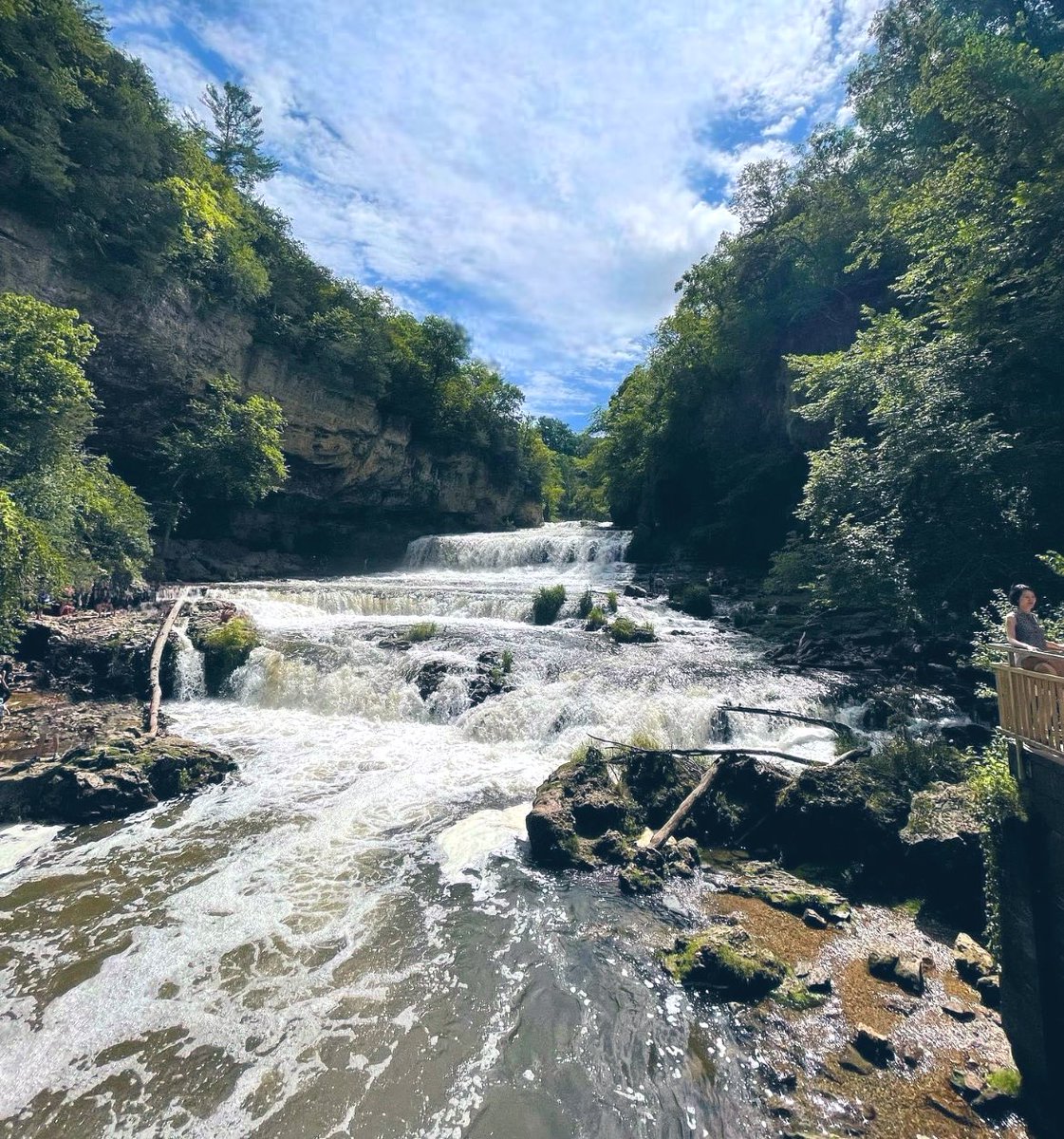 miniworld84's tweet photo. Nature #willowfalls wisco.
🎶 There's not a soul out there
No one to hear my prayer……………🎶🎶 https://t.co/cQnKtbVecS