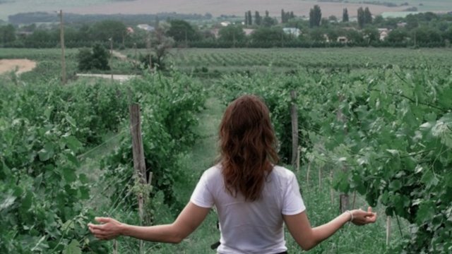 [Audio] #CooperativaContigo Cambio de Switch: El primer fondo de impacto destinado a público general tinyurl.com/29xvhtew