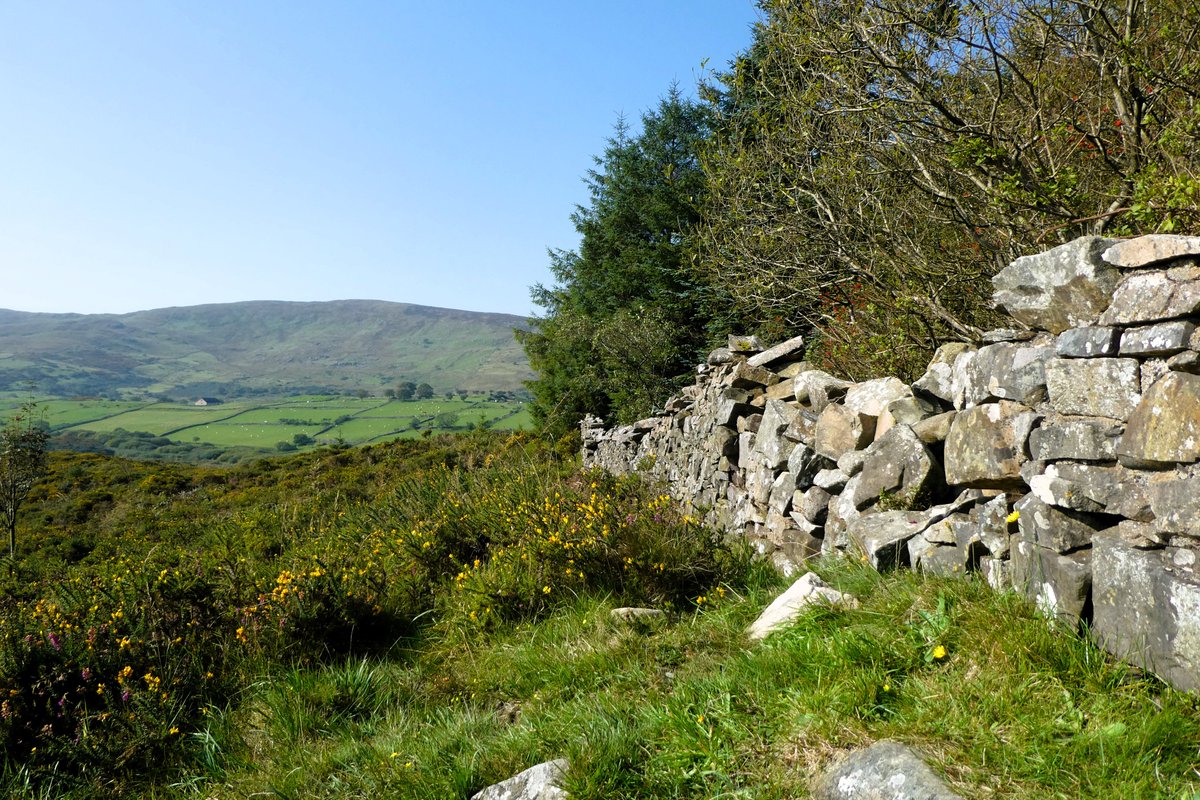 Derek Flack tweet media