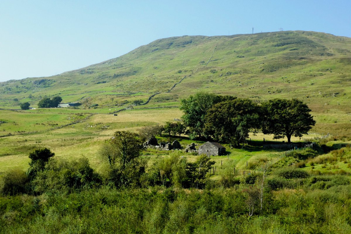 Derek Flack tweet media