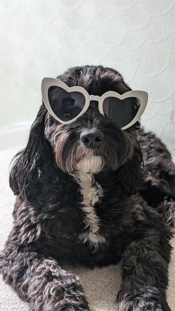 Don't talk to me or my son again.