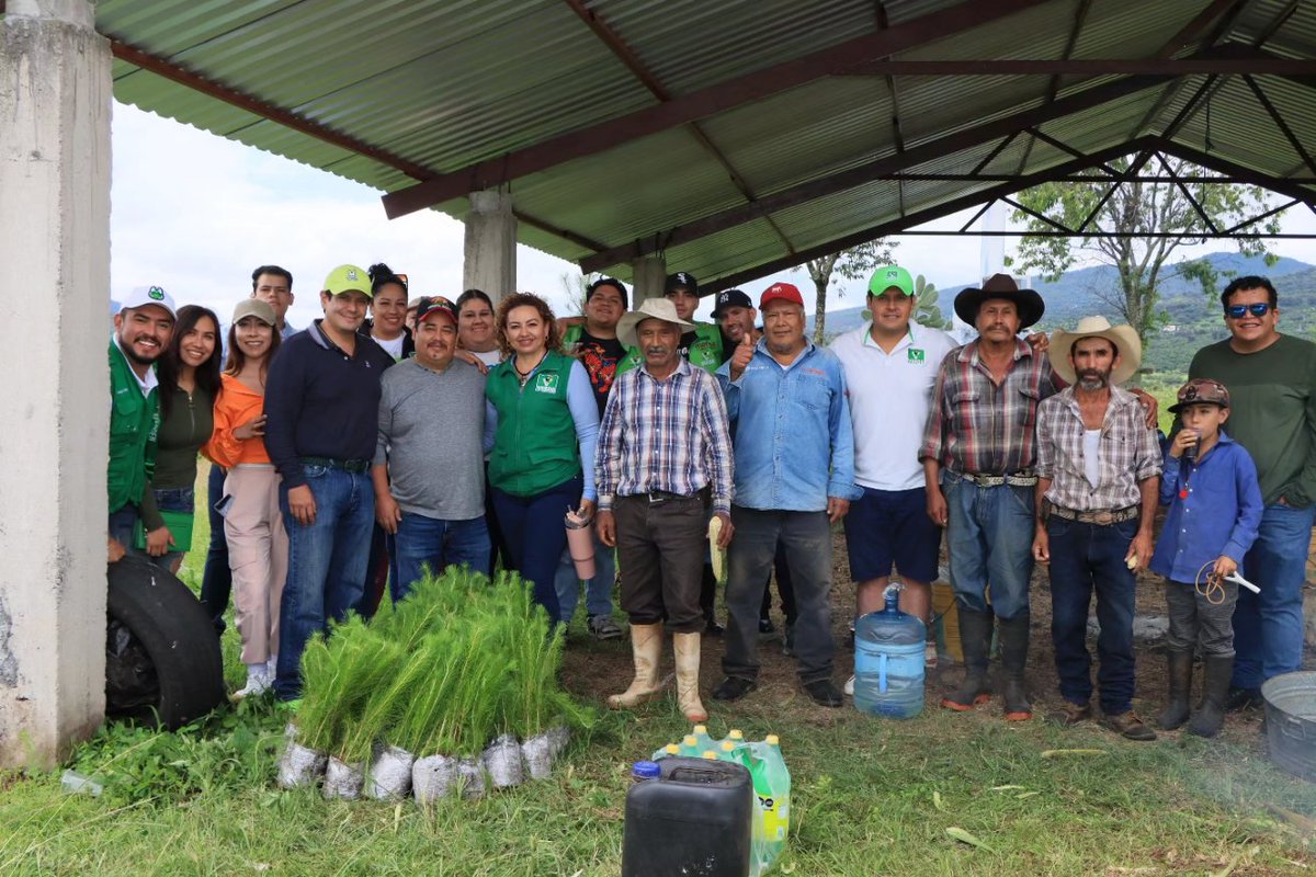 ernesto_nu's tweet photo. ¡Gracias al Tecnológico del Valle de Morelia y a nuestros amigos de Capula por unirse a la campaña “1 voto, 1 árbol”! 
Estoy muy contento por toda la gente que se ha sumado a reforestar y cuidar nuestro planeta, sigamos creando conciencia sobre el futuro de nuestro medio ambiente https://t.co/PlGY42RAwC