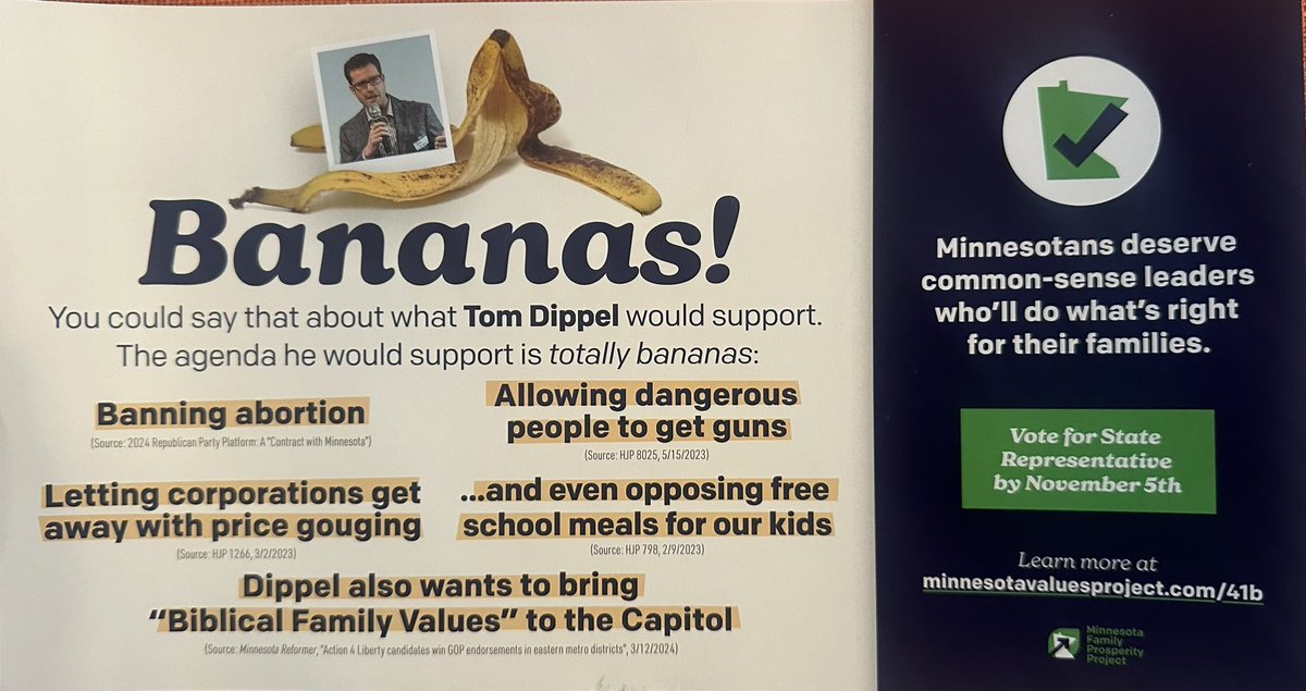 PoliticalMailMN's tweet image. #MNHD41B
Dippel Fox
MNFamilyProsperityProject