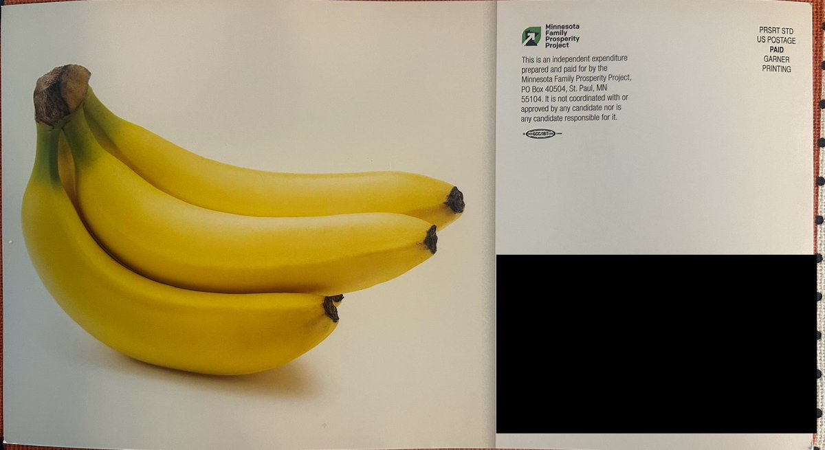 PoliticalMailMN's tweet image. #MNHD41B
Dippel Fox
MNFamilyProsperityProject