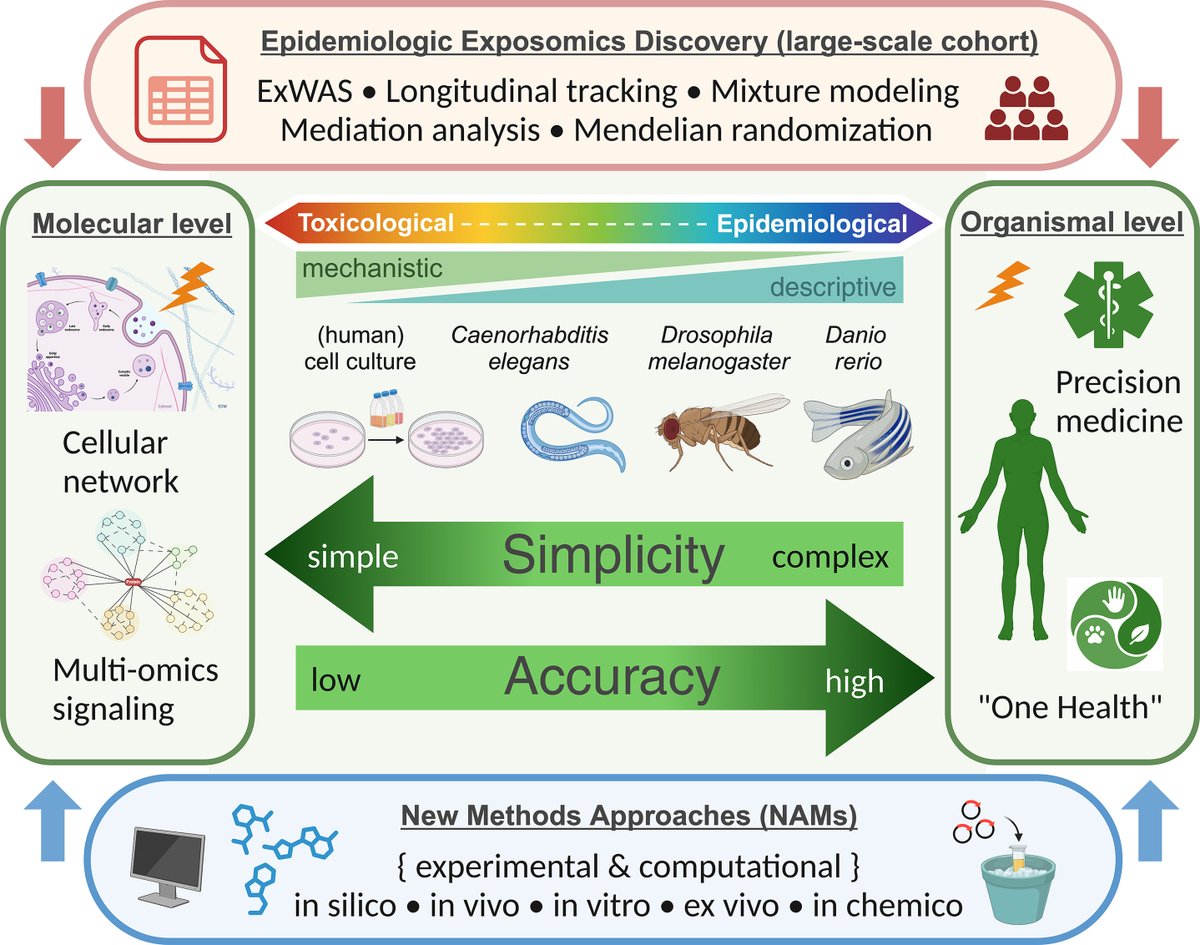 UR Institute for Human Health and the Environment (@ur_ihhe) on Twitter photo New paper published in <a href="/EHPonline/">Environmental Health Perspectives</a> by <a href="/URochester_SMD/">URochester SMD</a> faculty member Souvarish Sarkar <a href="/souvarish/">Souvarish Sarkar</a> and post-doc Muhammet Ay. 📢
"Seminar: Functional Exposomics and Mechanisms of Toxicity—Insights from Model Systems and NAMs"
🔗ehp.niehs.nih.gov/doi/10.1289/EH…
#URochesterResearch New paper published in <a href="/EHPonline/">Environmental Health Perspectives</a> by <a href="/URochester_SMD/">URochester SMD</a> faculty member Souvarish Sarkar <a href="/souvarish/">Souvarish Sarkar</a> and post-doc Muhammet Ay. 📢
"Seminar: Functional Exposomics and Mechanisms of Toxicity—Insights from Model Systems and NAMs"
🔗ehp.niehs.nih.gov/doi/10.1289/EH…
#URochesterResearch