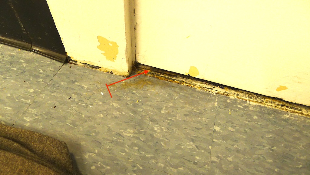 How to tell a mouse/rat be using rooms you don’t (or do) have access?  When M/R repeat squeeze under doors, etc., they leave easily seen sebum trails (darkened ‘rub marks’) + urine+ pheromones.  I call this behavior ‘squeeze pointing’. Often at jambs for entry push leverage.🐀