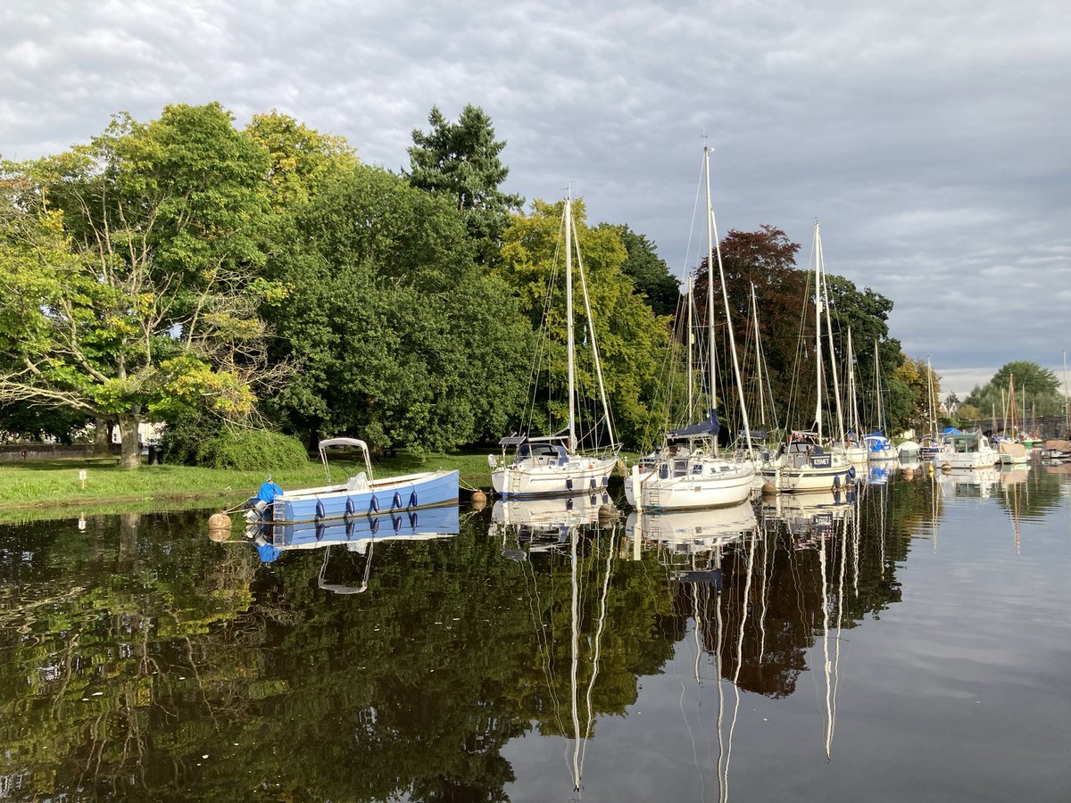 Alice Purkiss tweet media