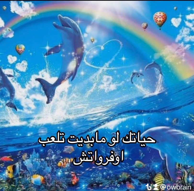 برين 🧠 tweet media