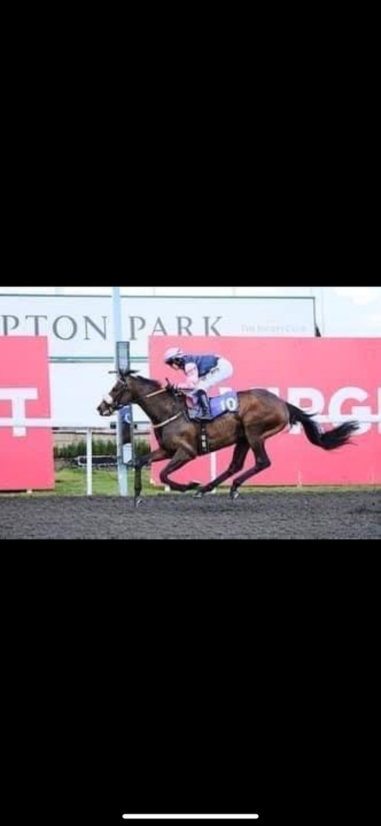 josephinegordo's tweet image. Thankyou everyone for the lovely messages today
Whitcombe rockstar what a legend 
A great day for everyone involved 
I will be donating my prize money to Alice procter who is a huge part of the Burke team 

justgiving.com/crowdfunding/a…