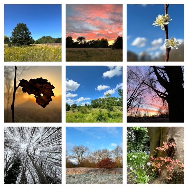 ✨RYEBANK FIELDS 2025 CALENDAR.✨
Place orders now until 27.09.24
£7.50 each / 5 for £35. All profits to campaign costs (legal fees, surveys or publicity materials).  Please consider buying a few extra to gift to others or task yourself with selling some on for the campaign ✊🏽