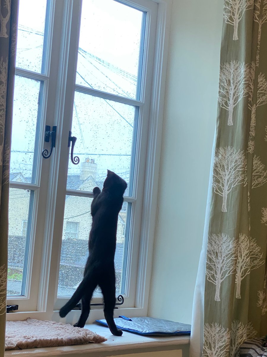 When all else fails, try a fly. george-online.blogspot.com