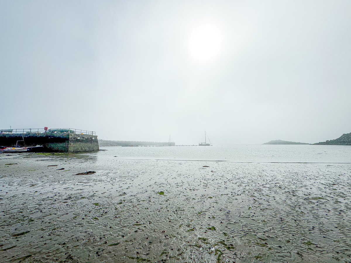 Calum 🏴󠁧󠁢󠁳󠁣󠁴󠁿 ⛐ tweet media