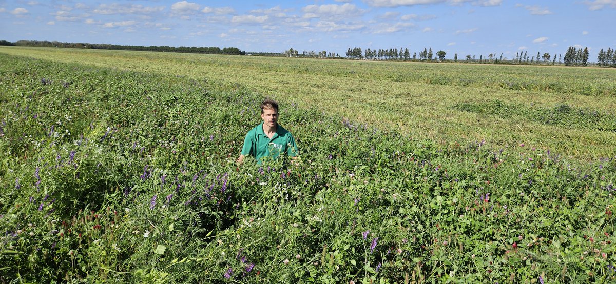 Plus de 1000 ha en couvert pleine saison au lac st jean  selon méthode SCV!! Pas de travail de sol pour 1 ou 2 ans, pesticides couper de 75 à 100% sur 1 à 2 ans de CC, plus de 20 espèces ! Des solutions concrètes au Québec appliquées  depuis 10 ans déjà  !
