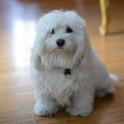 My beautiful 😍 baby