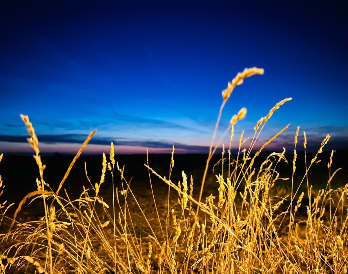 Tsogoeva_Group's tweet image. #SaturdayRun 💙

#EveningRun #ChemistsWhoRun