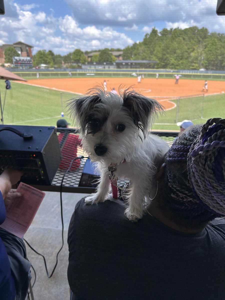 Trish Bogdanchik (@trishbog1) on Twitter photo Watching the Mustangs work on their 2nd win of the day <a href="/MV_Athletics/">Mount Vernon Athletics</a> <a href="/TheMVSchool/">Mount Vernon School</a> <a href="/NUTINBUTburNET/">Coach Burnette</a> <a href="/MVM_Softball/">Mount Vernon Mustangs Softball</a> Watching the Mustangs work on their 2nd win of the day <a href="/MV_Athletics/">Mount Vernon Athletics</a> <a href="/TheMVSchool/">Mount Vernon School</a> <a href="/NUTINBUTburNET/">Coach Burnette</a> <a href="/MVM_Softball/">Mount Vernon Mustangs Softball</a>