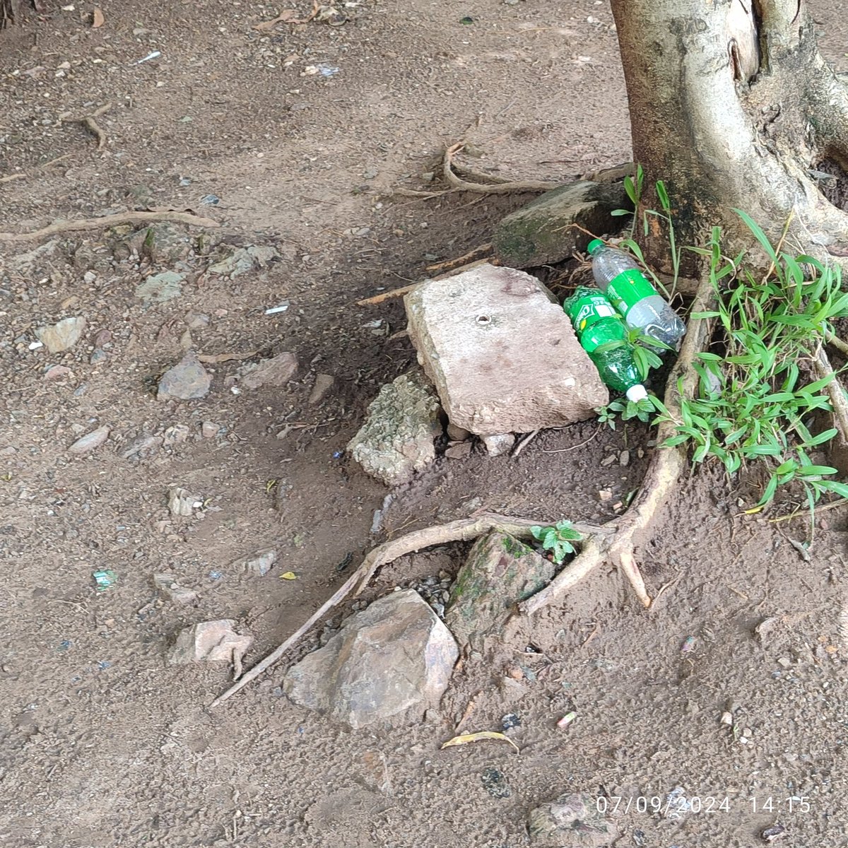 PreboUno tweet media