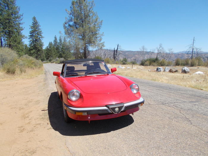 AlfaExperience's tweet photo. Veronika's 1989 Alfa Romeo Spider - AlfaExp Registry https://t.co/KyPBPotXF4 https://t.co/OvSsMXmeJ6