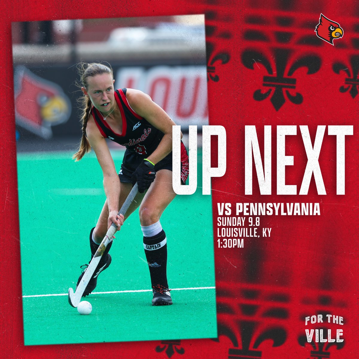 Louisville Field Hockey tweet media