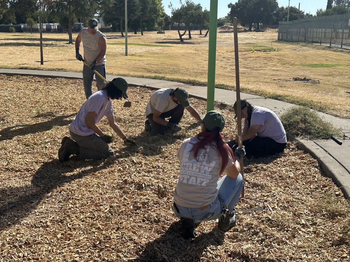 SenatorAshby's tweet photo. Thank you Deanna Read and all the folks @CityofSacParks & @ShounThao D2 @TheCityofSac for inviting #teamashby out to your #916 day event this morning! 

We had a great time helping to revitalize Johnston park by planting, laying sod, and repainting curbs. 

#SacramentoProud #916day #NorthSac