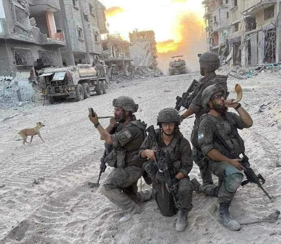 Meir Masri | מאיר מסרי tweet media