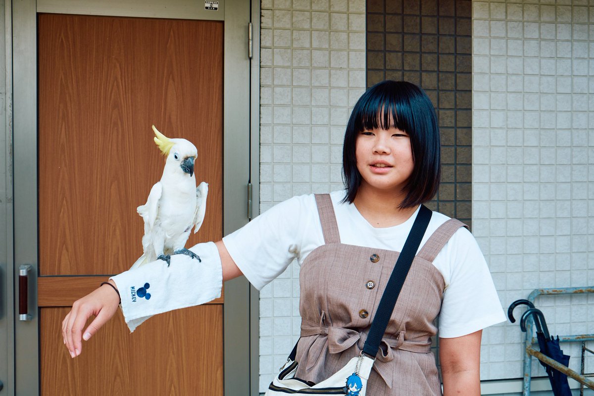 明日は娘の空手試合だけど、もし一回勝ったらとんでもなく強い人と当たるんですよね。でドキドキして眠れないんですよ俺が…
怪我なく終わって、温泉入って帰れたらいいな。