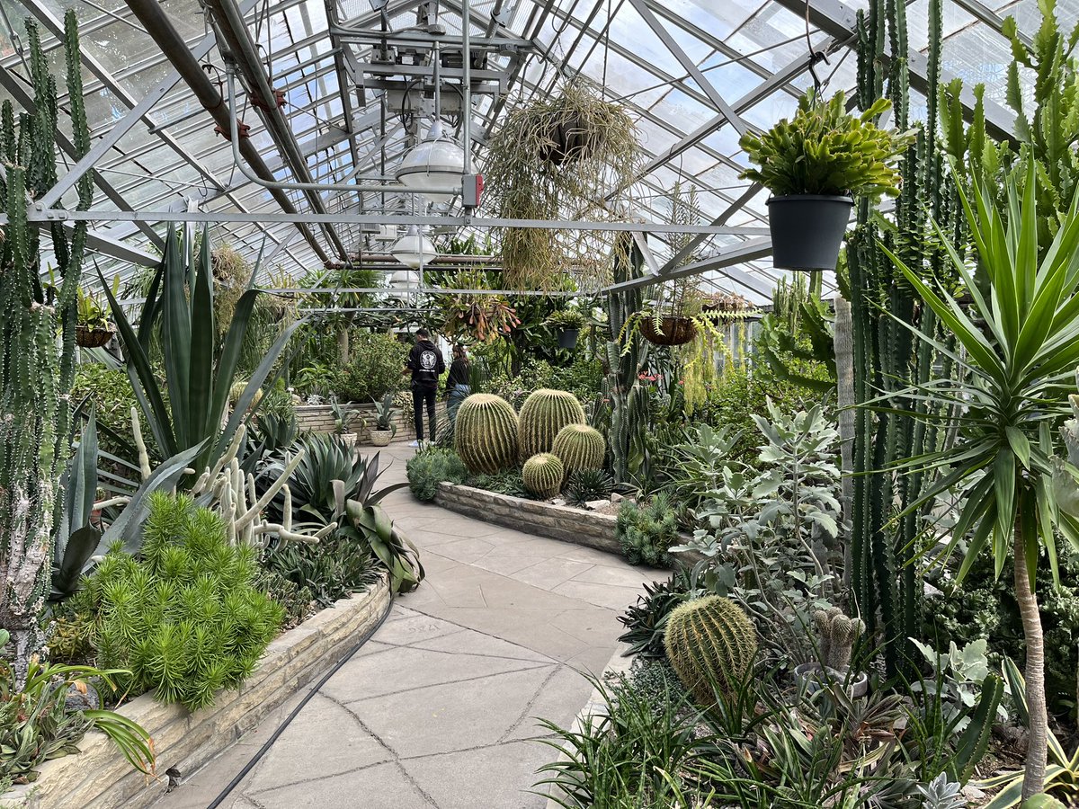 Great to still see such horticultural skills on display by the <a href="/TorontoPFR/">City of Toronto PFR</a> at the Allen Gardens Conservatory. #Toronto 🇨🇦 <a href="/GreenFlagAwdInt/">Green Flag Award International</a> #loveparks