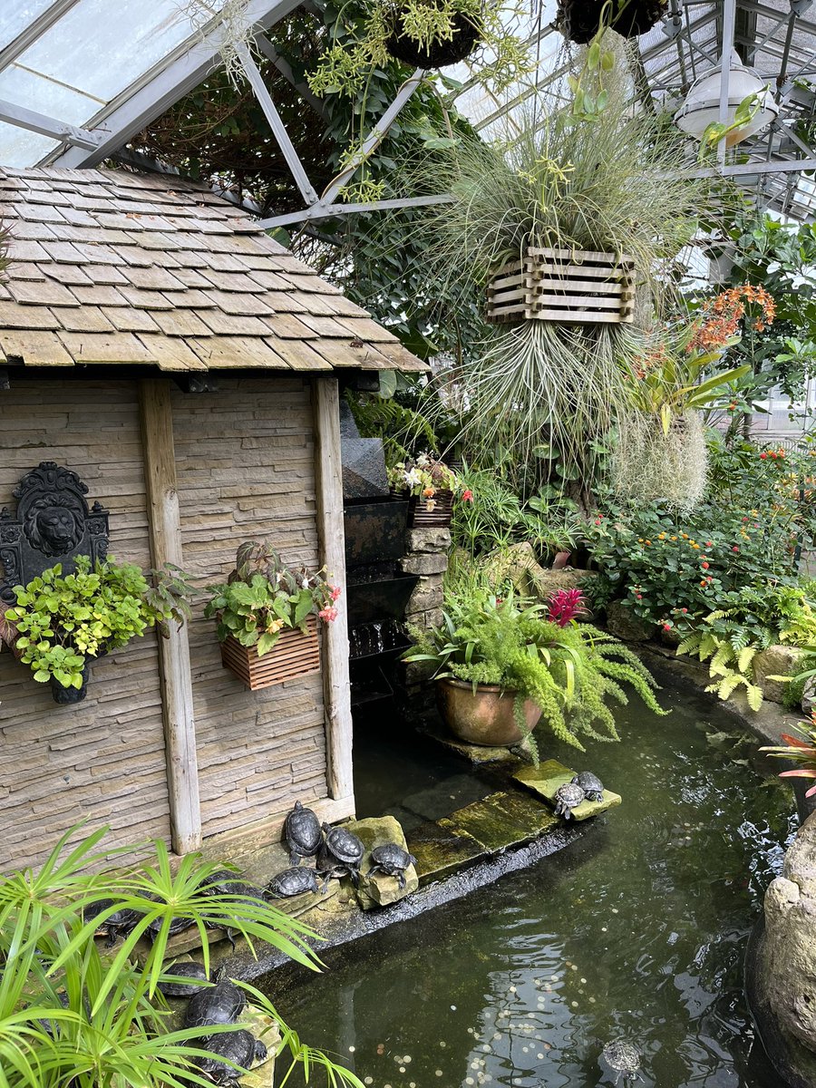 ChristopherWormanMBE tweet media