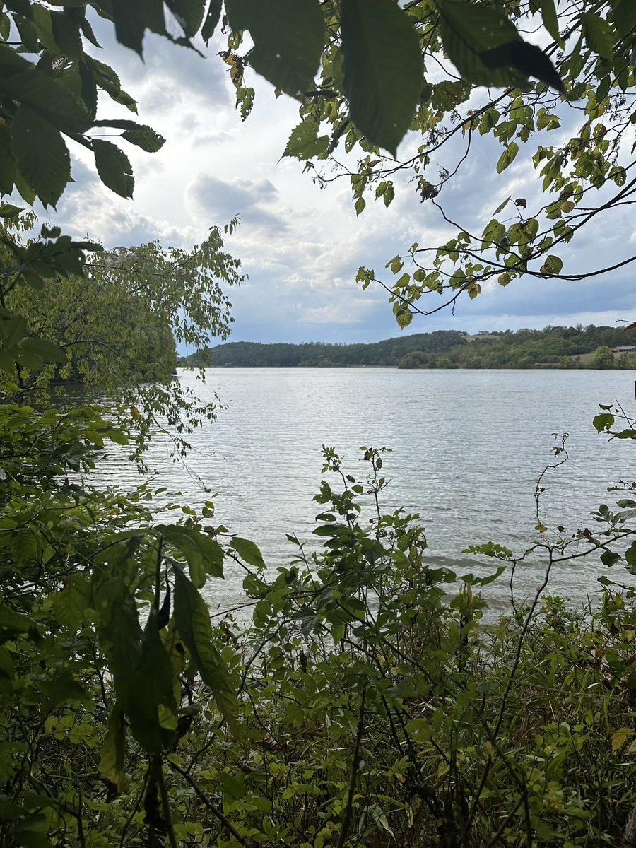 ARDataAnalysis's tweet image. Another weekend of camping in the books. My sanctuary away from all of the noise of life.